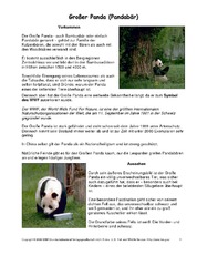 Pandabär-Steckbrief.pdf